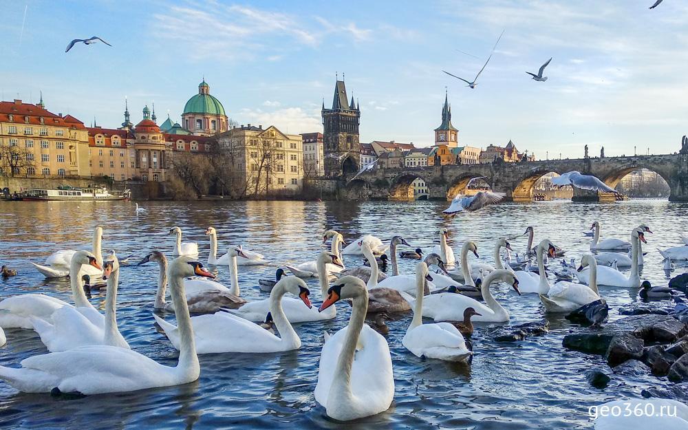 Prague 🇨🇿